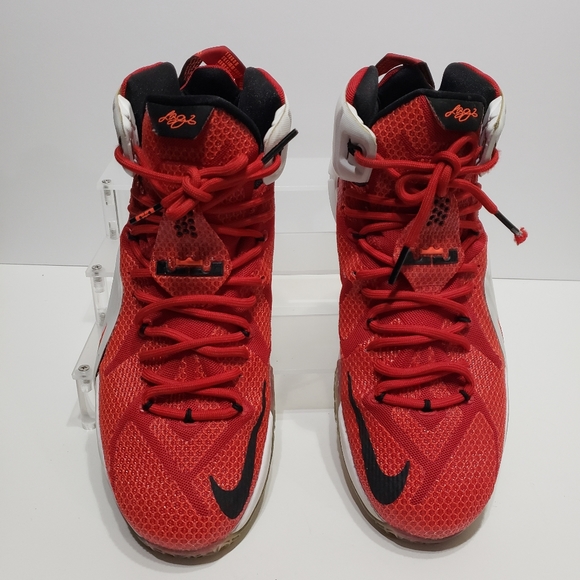 Nike LeBron 12 EP Heart of a Lion Sneakers - Picture 2 of 11